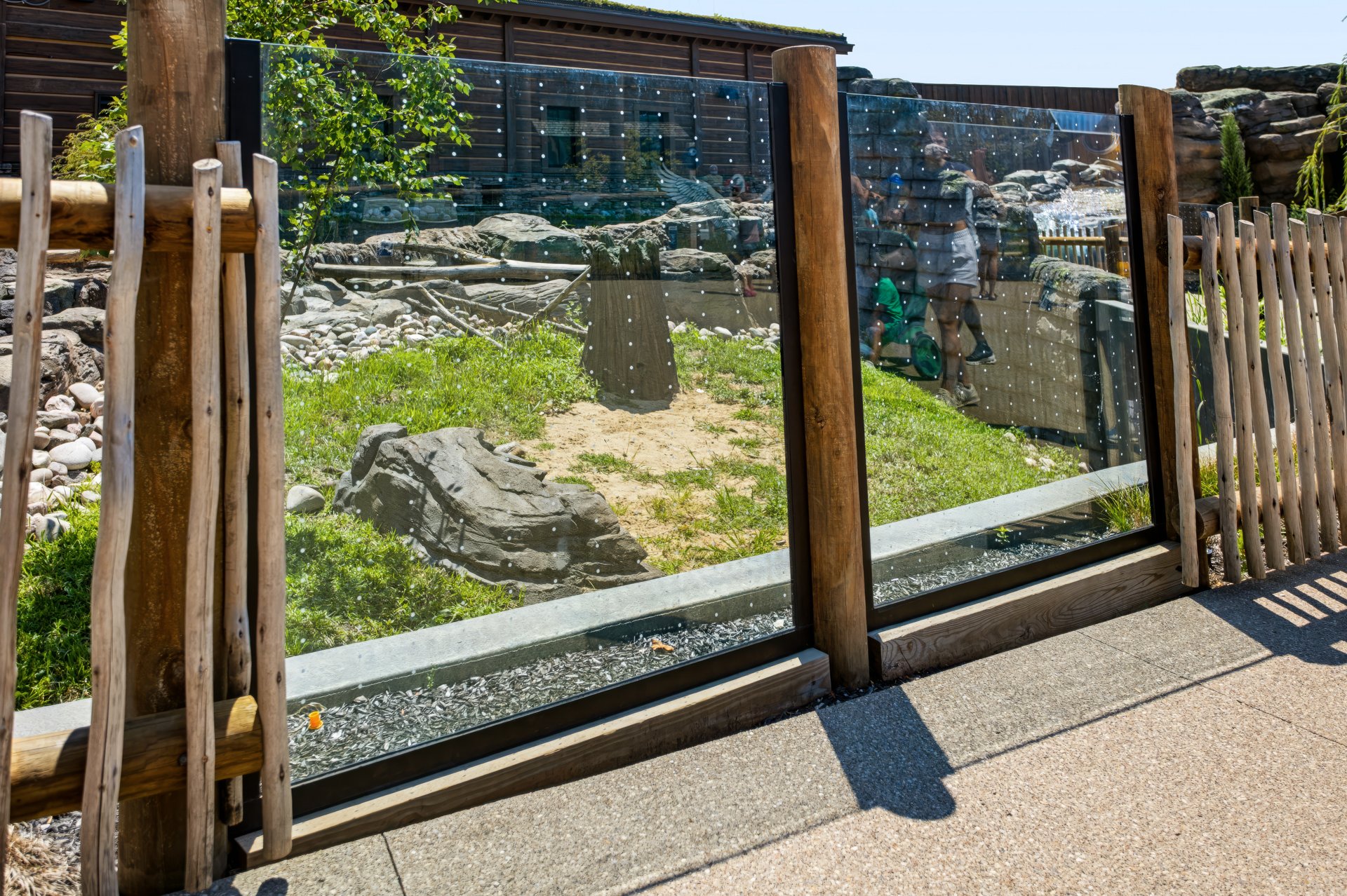 Zoo glass barrier in a custom steel frame, river otter habitat, Columbus Zoo Zoo glass barrier panel in a custom steel frame between log posts at the river otter habitat, Columbus Zoo North America Trek
